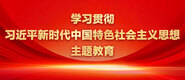 东北老女人被躁的噢噢叫学习贯彻习近平新时代中国特色社会主义思想主题教育_fororder_ad-371X160(2)